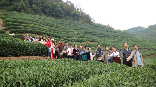 1574125764132421.jpg 登茶山.JPG